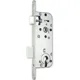 Broasca Midi 7