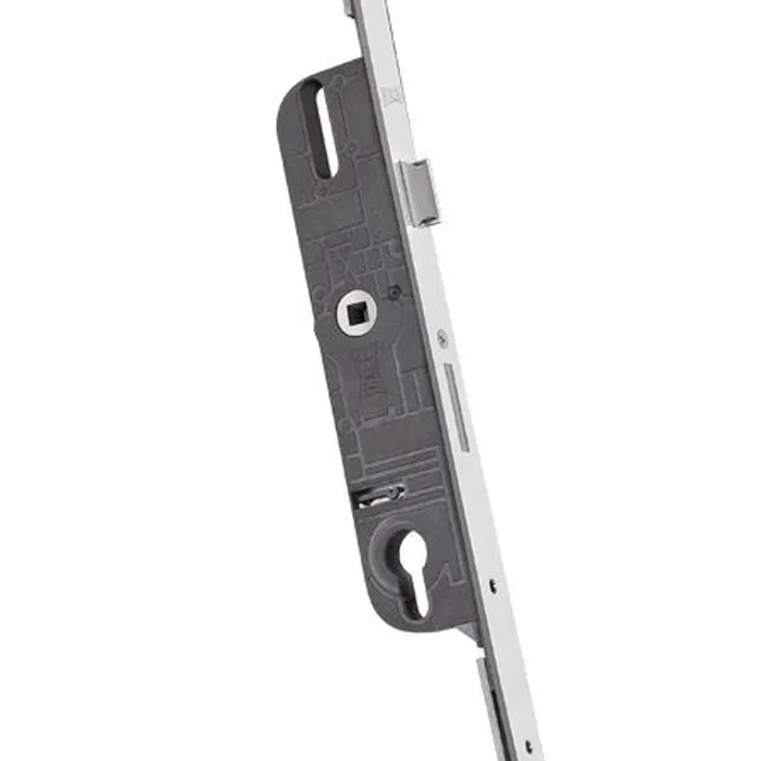 Broasca multipunct ingropata 6 puncte