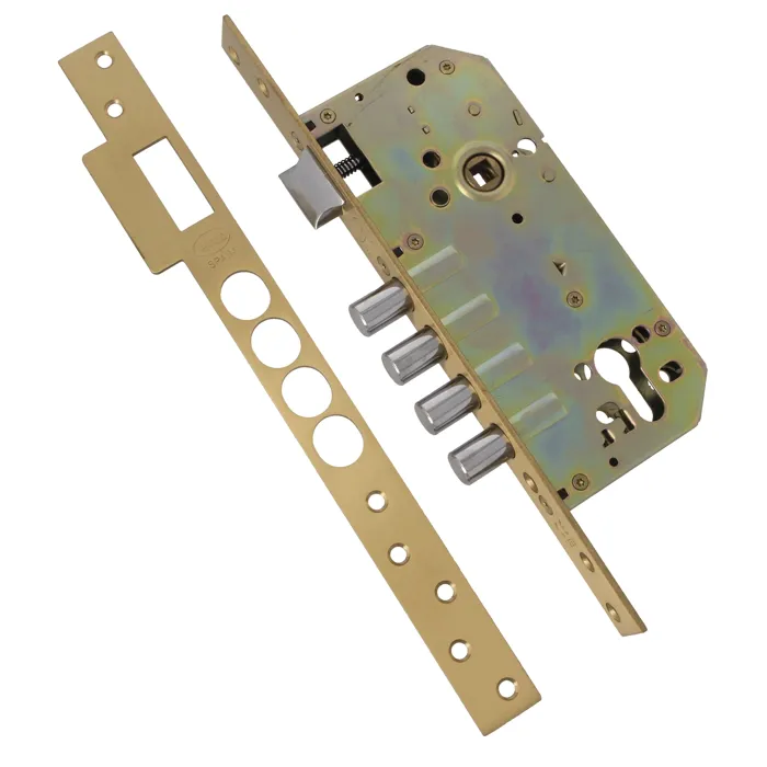 Broasca de siguranta Amig